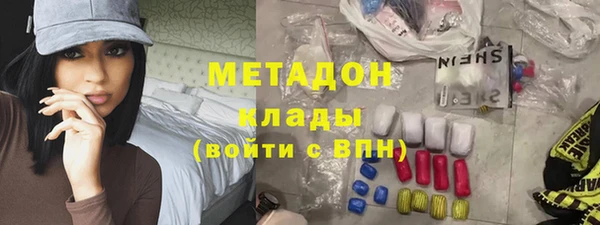 прущие грибы Алзамай