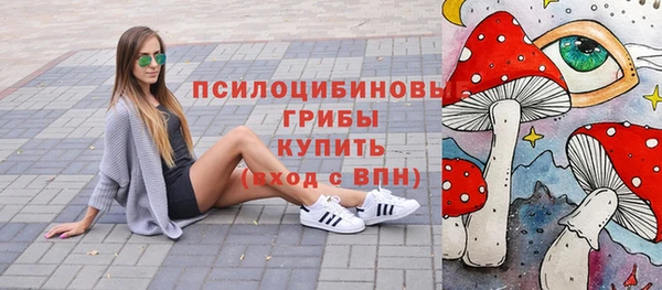 прущие грибы Алзамай