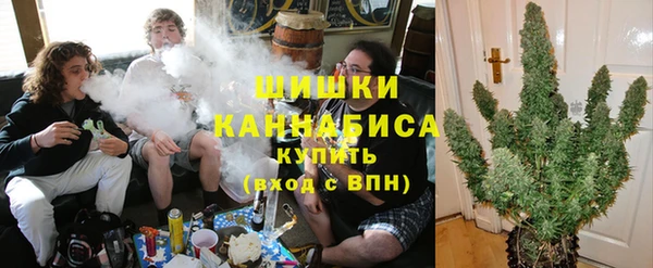 прущие грибы Алзамай