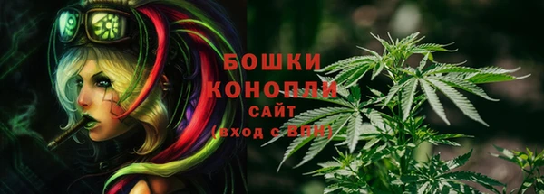 прущие грибы Алзамай