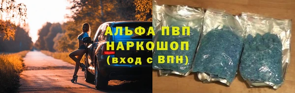 spice Новозыбков